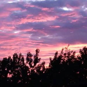 操大姨子逼视频
