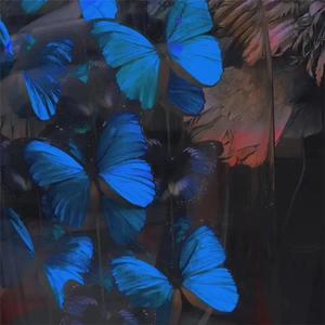 操大姨子逼视频
