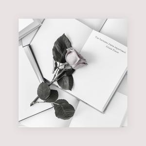 操大姨子逼视频
